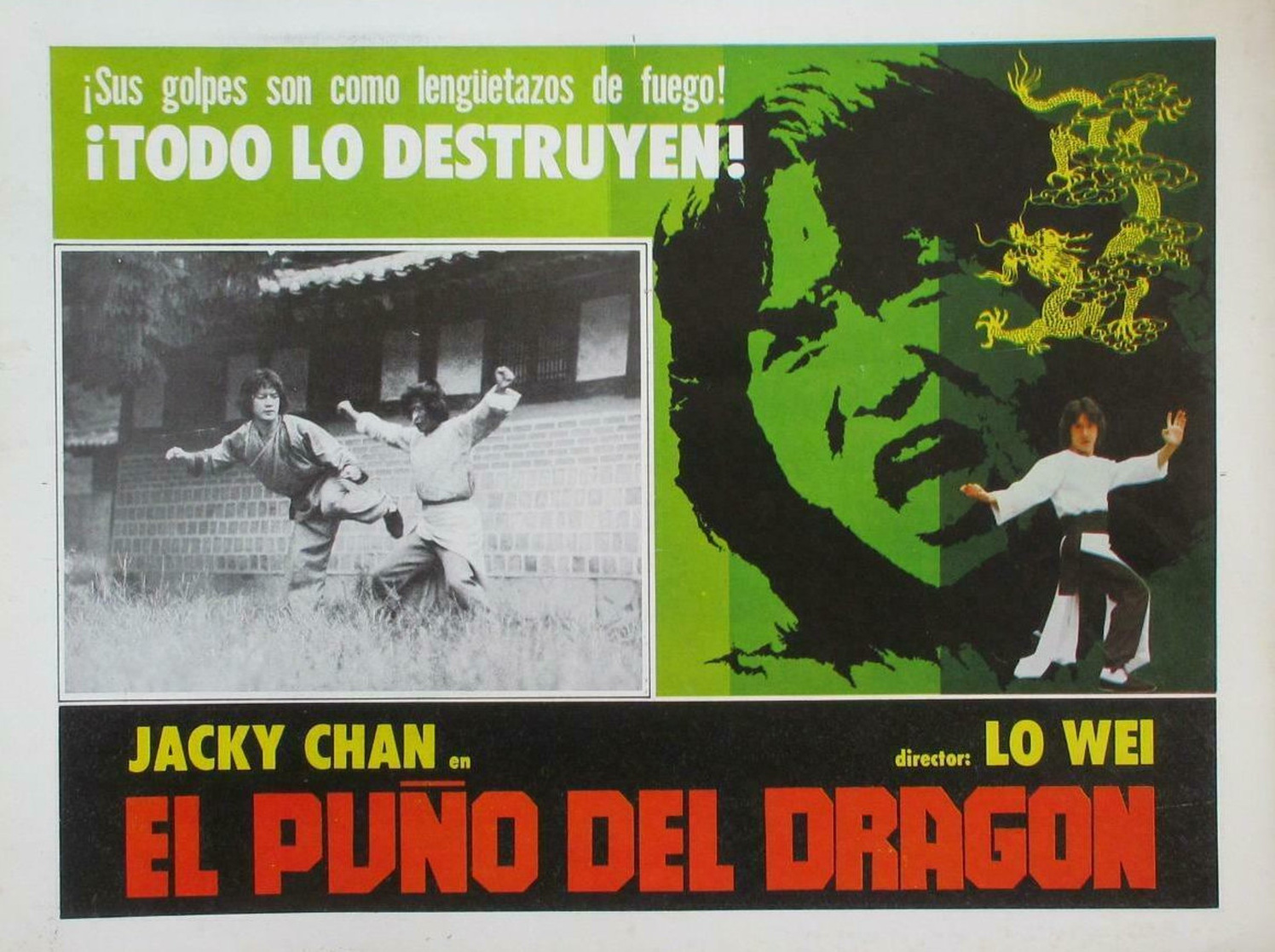 Dragon Fist