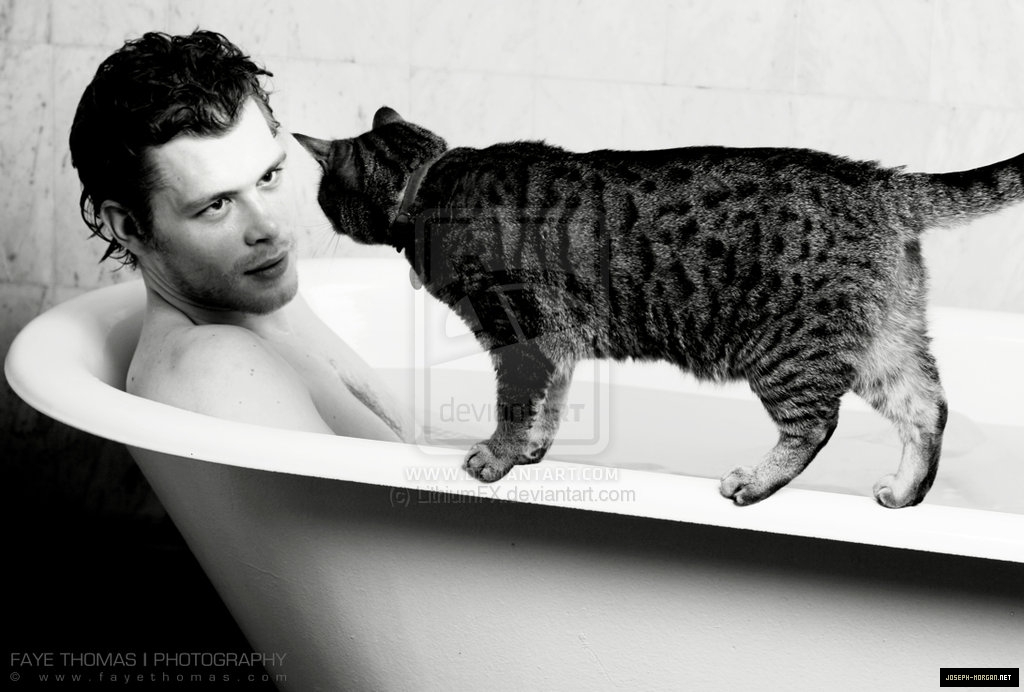 Joseph Morgan Joseph Morgan