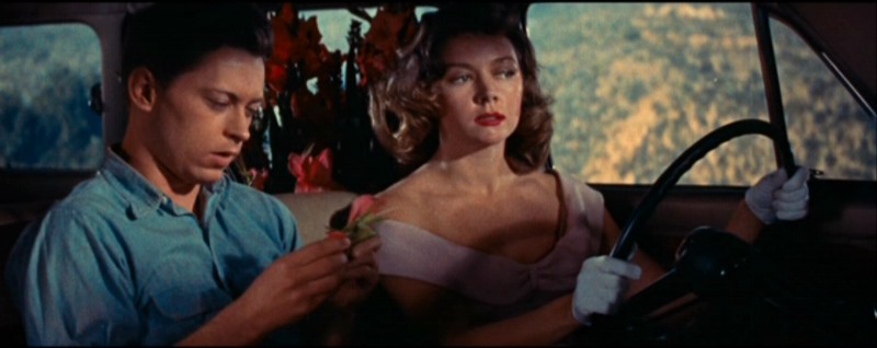 The Cobweb (1955)