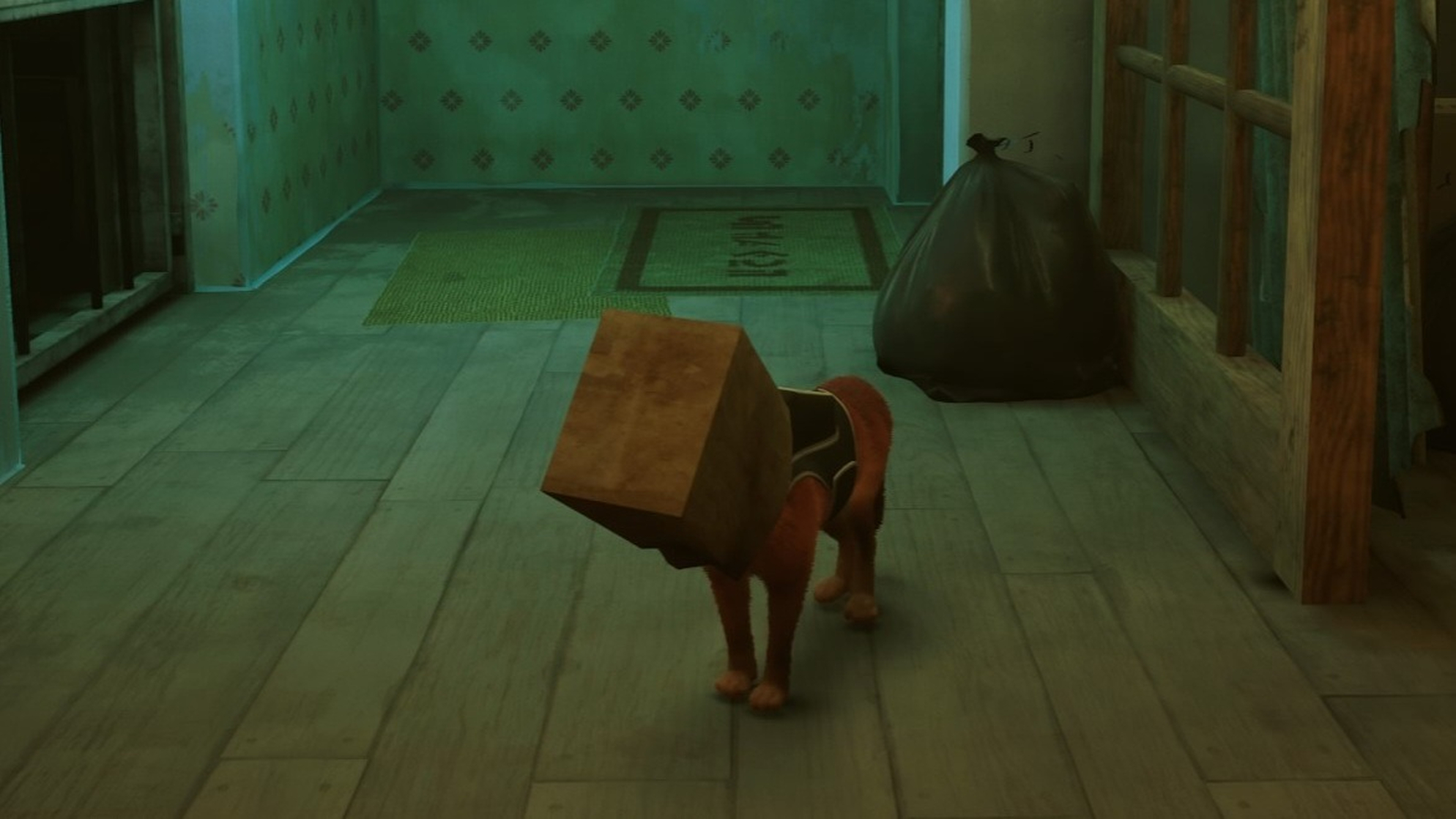 Stray