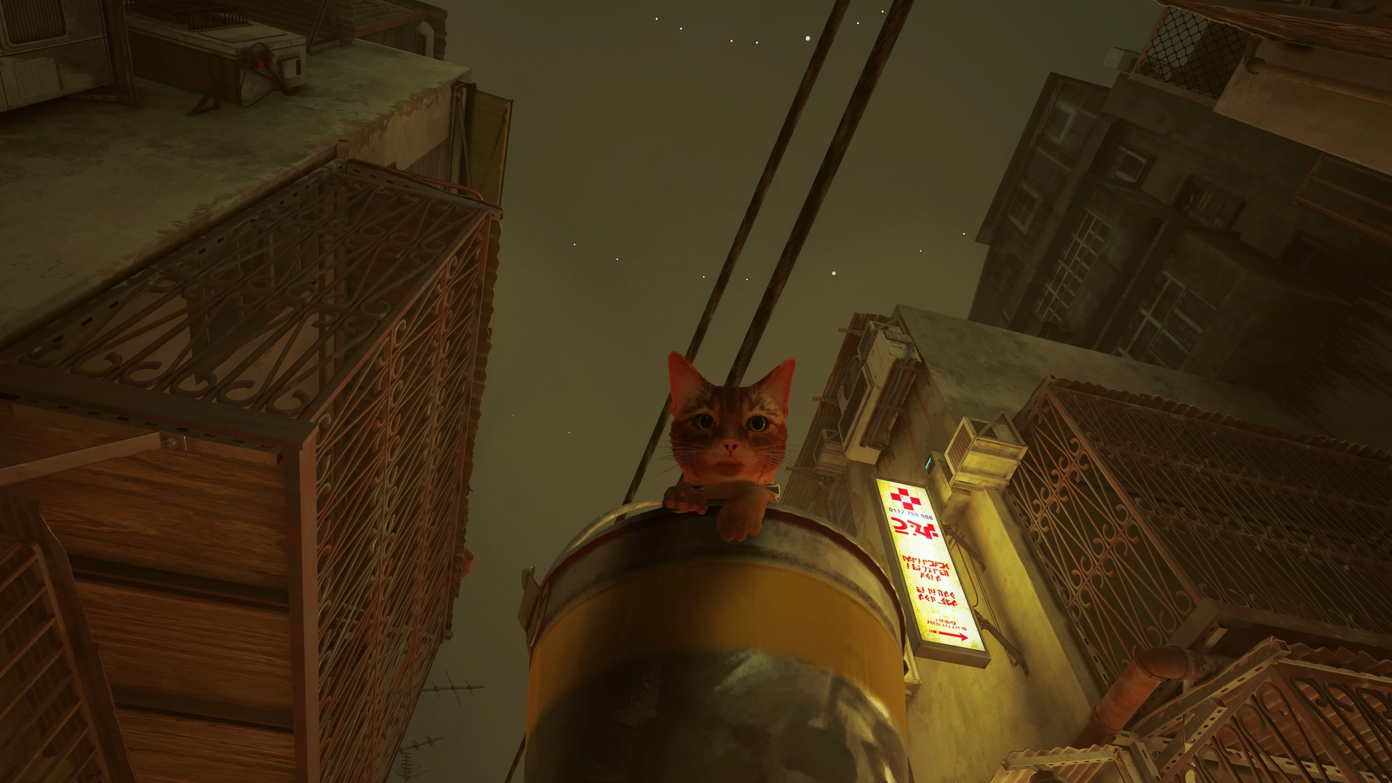 Stray