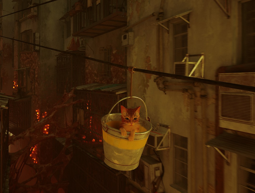 Stray