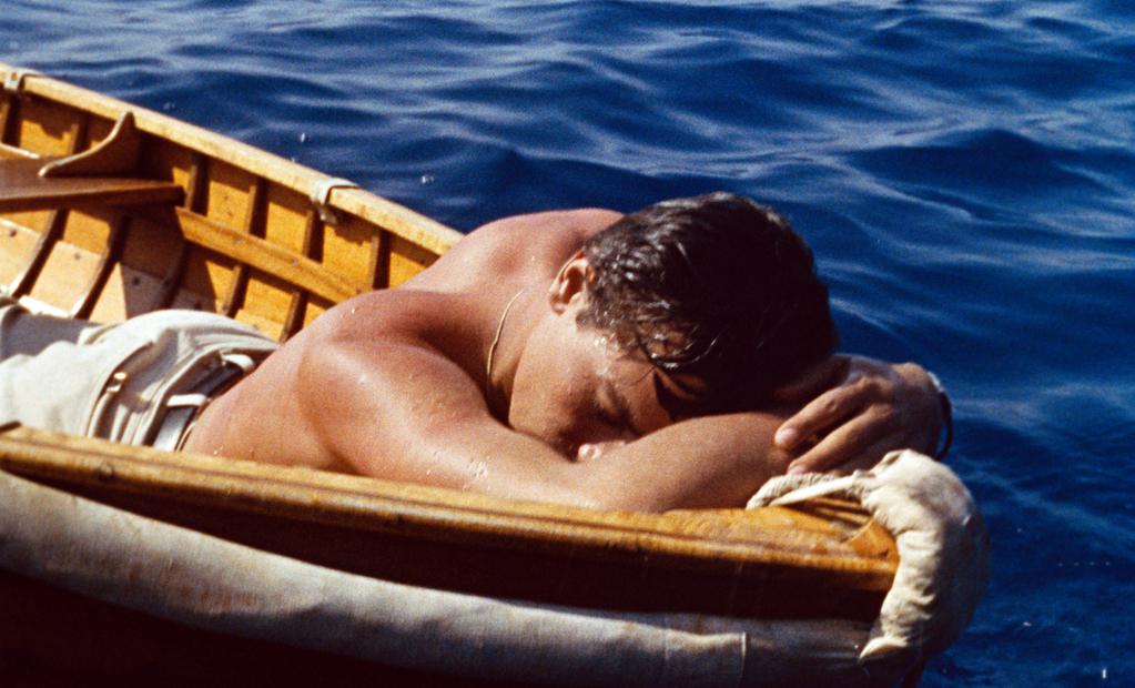 Purple Noon