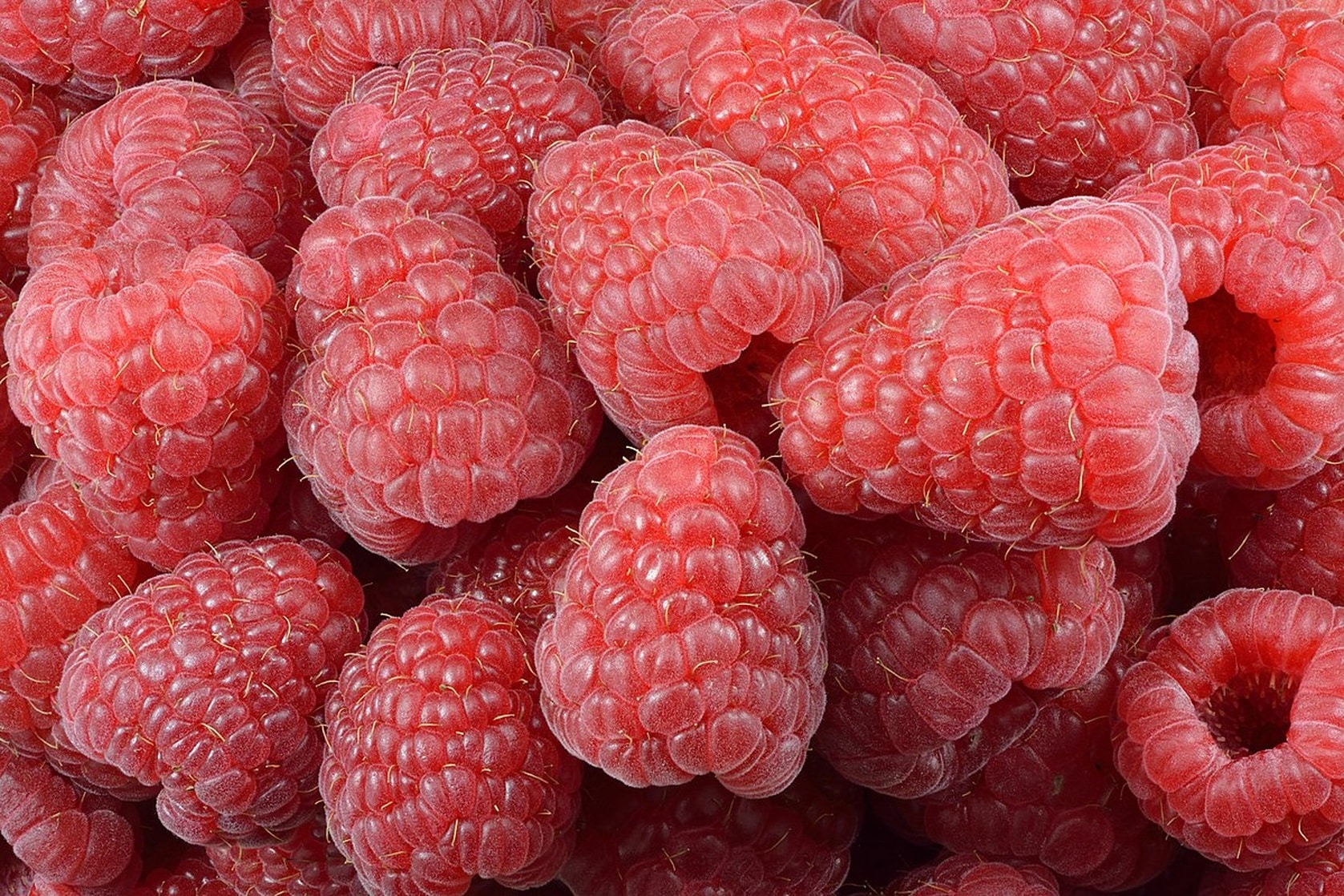 Picture of Raspberry