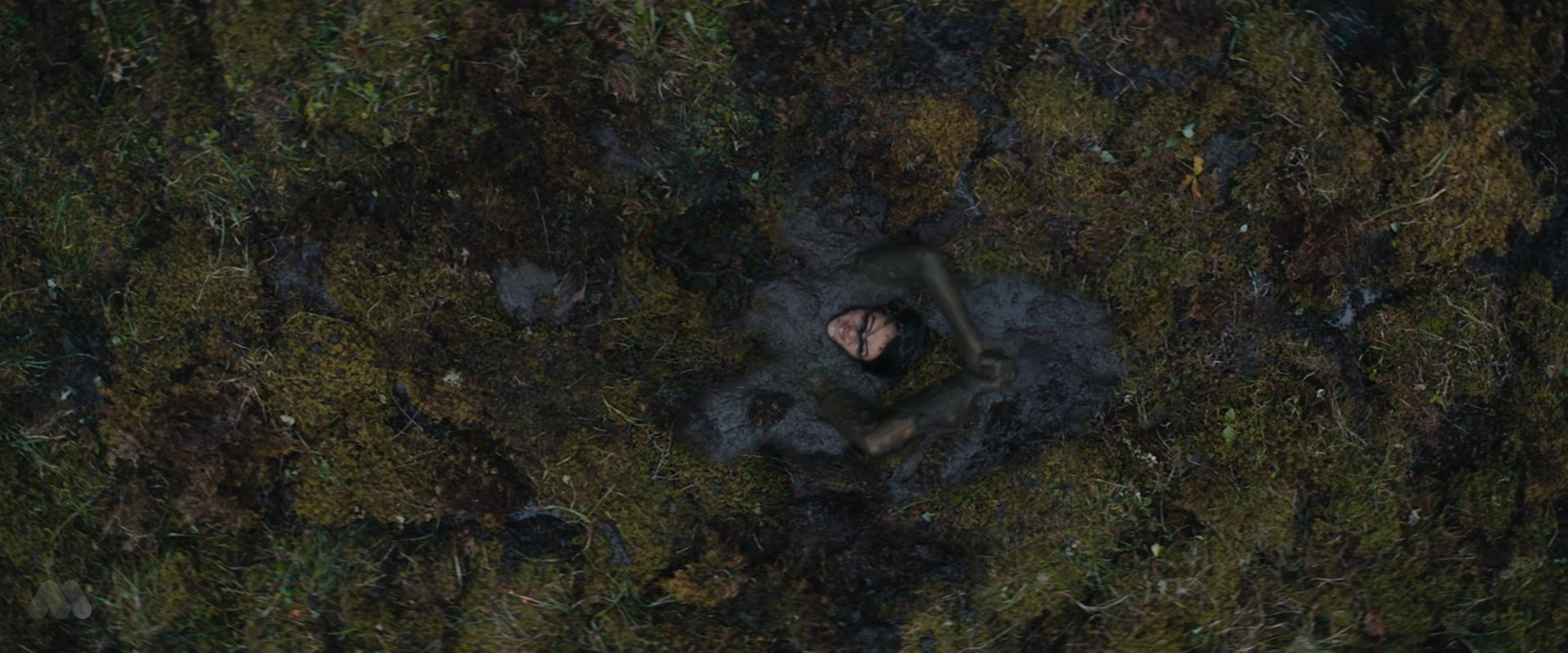 Prey Prey