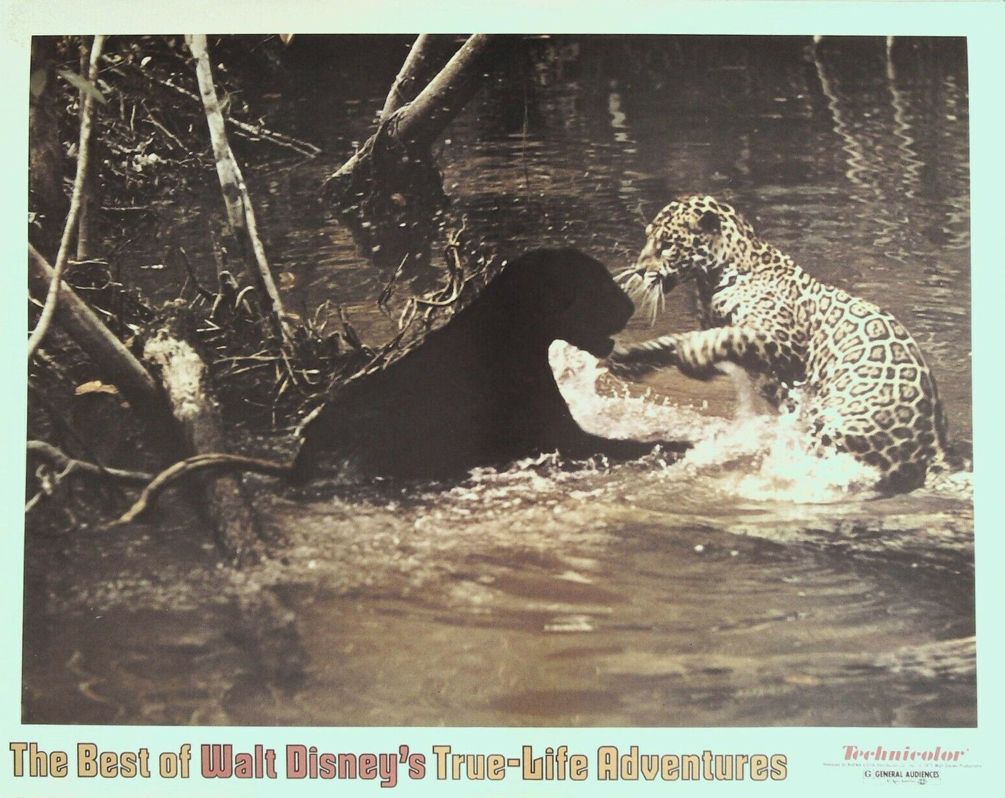 The Best of Walt Disney's True-Life Adventures