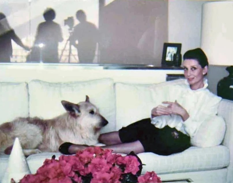 Audrey Hepburn Audrey Hepburn