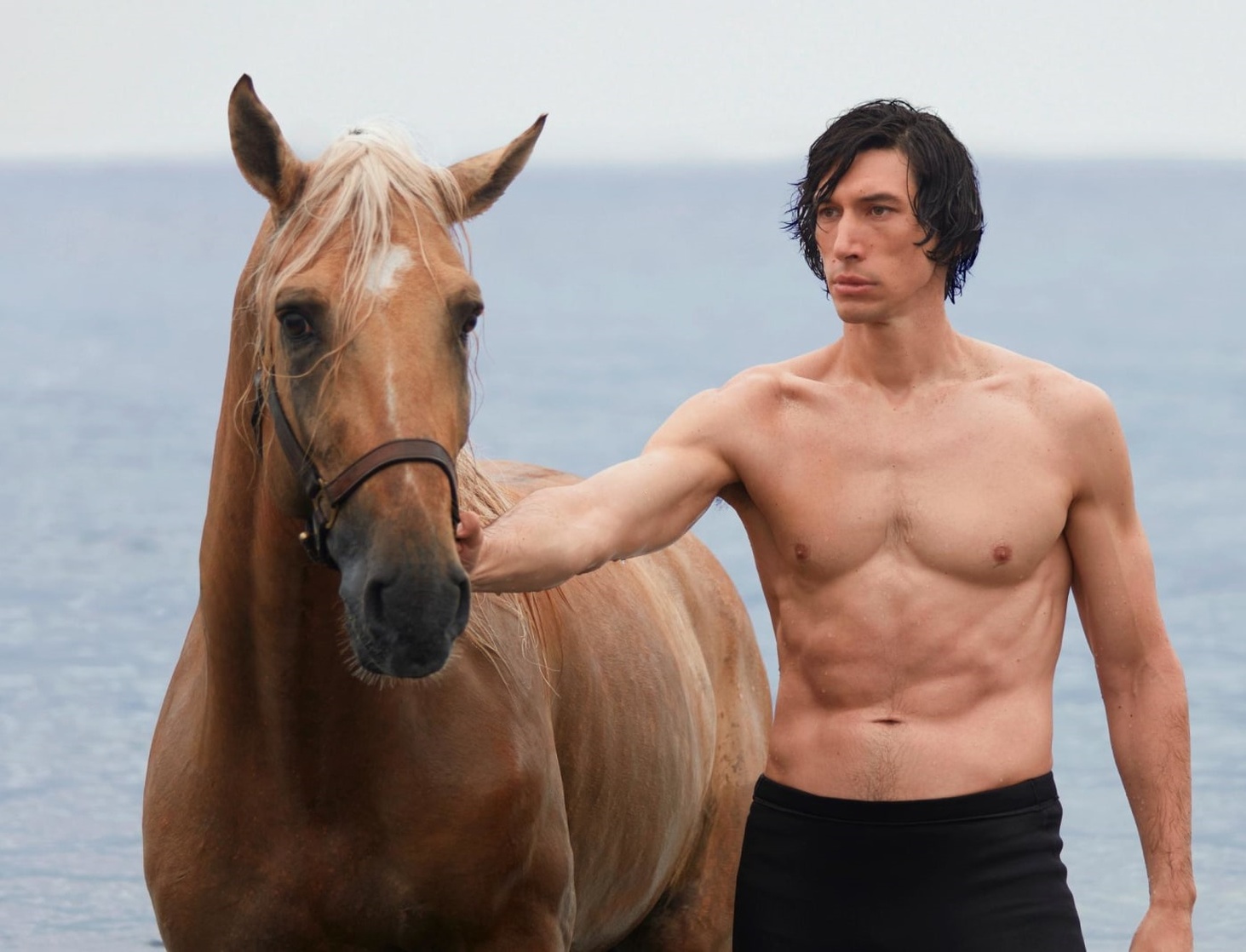 Adam Driver