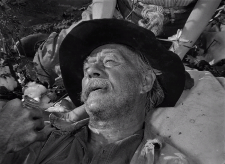 The Southerner (1945) The Southerner (1945)