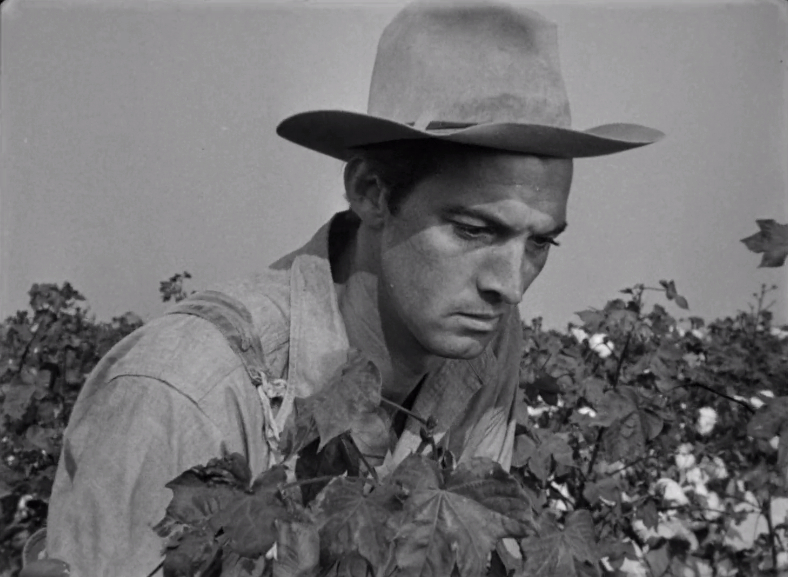 The Southerner (1945) The Southerner (1945)