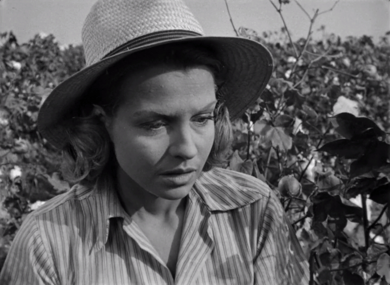The Southerner (1945) The Southerner (1945)