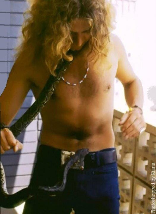 Image of Robert Plant.