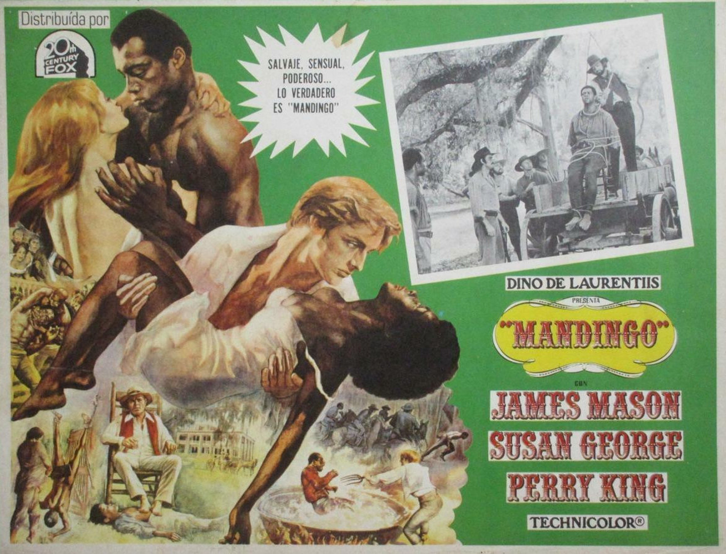 Mandingo Mandingo