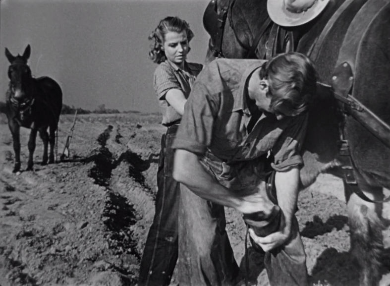 The Southerner (1945) The Southerner (1945)