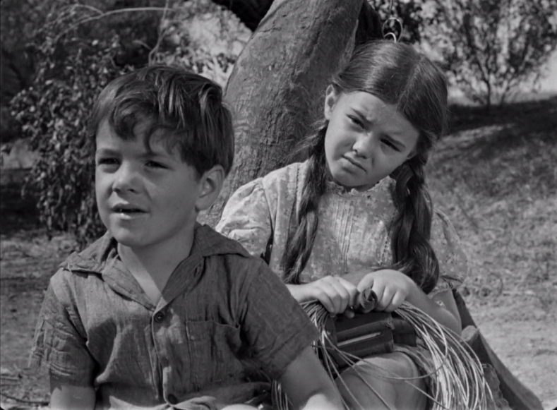 The Southerner (1945) The Southerner (1945)