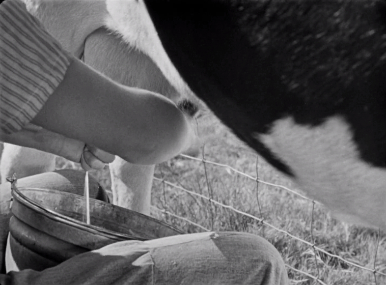 The Southerner (1945) The Southerner (1945)