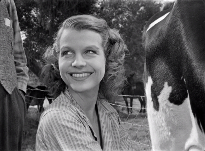 The Southerner (1945) The Southerner (1945)