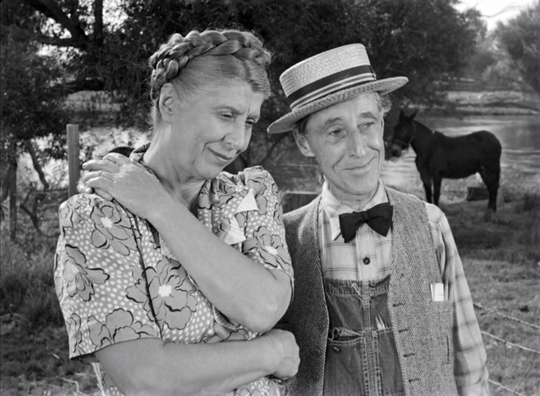 The Southerner (1945) The Southerner (1945)
