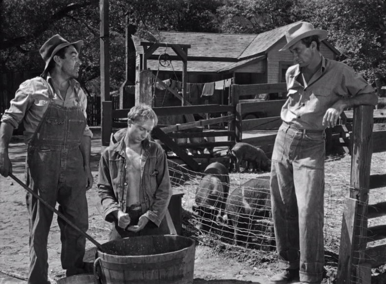 The Southerner (1945) The Southerner (1945)