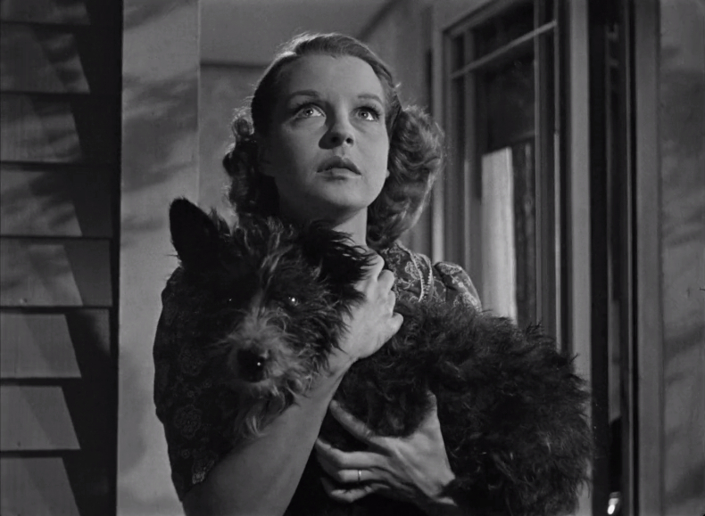 The Southerner (1945)