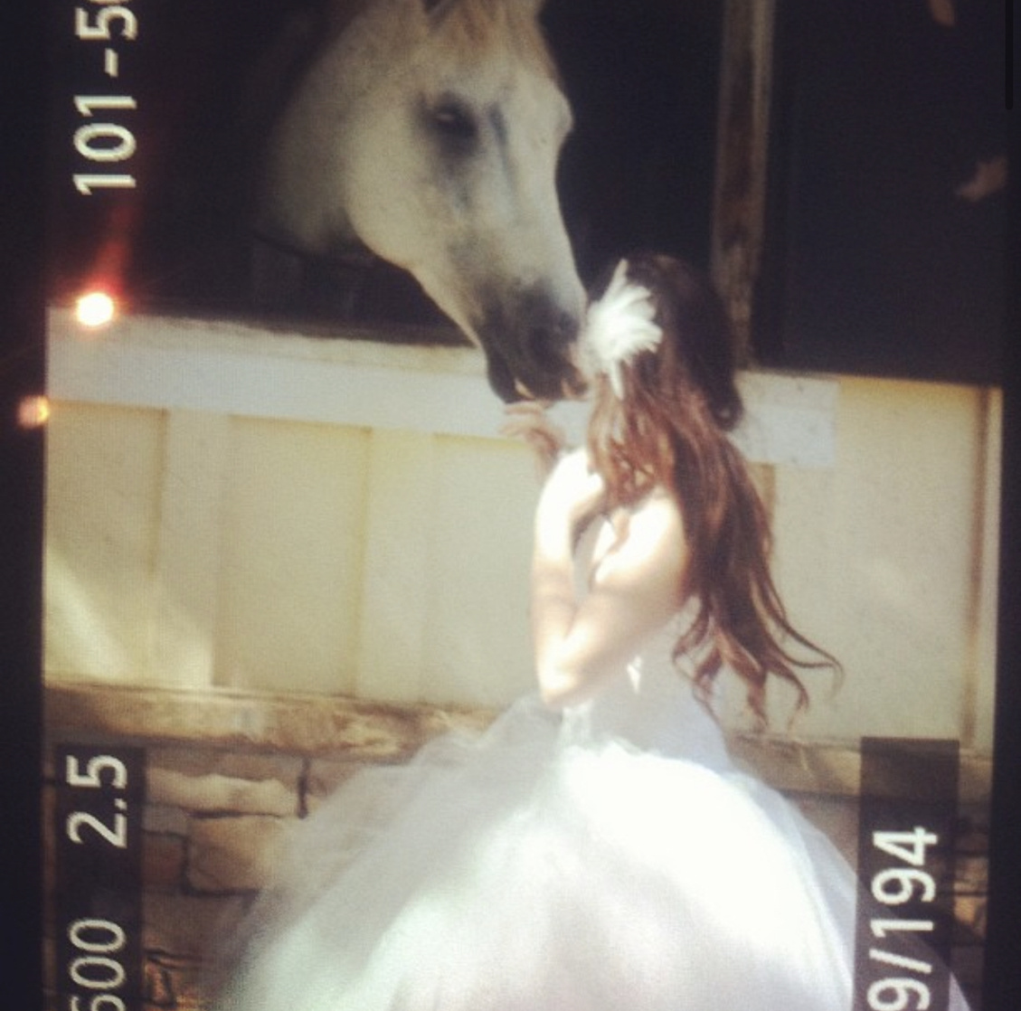 Caitlin Beadles