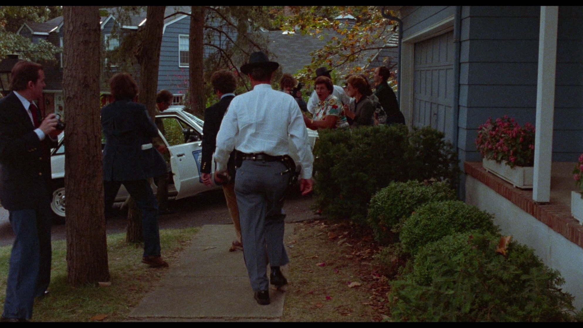 Polyester (1981)