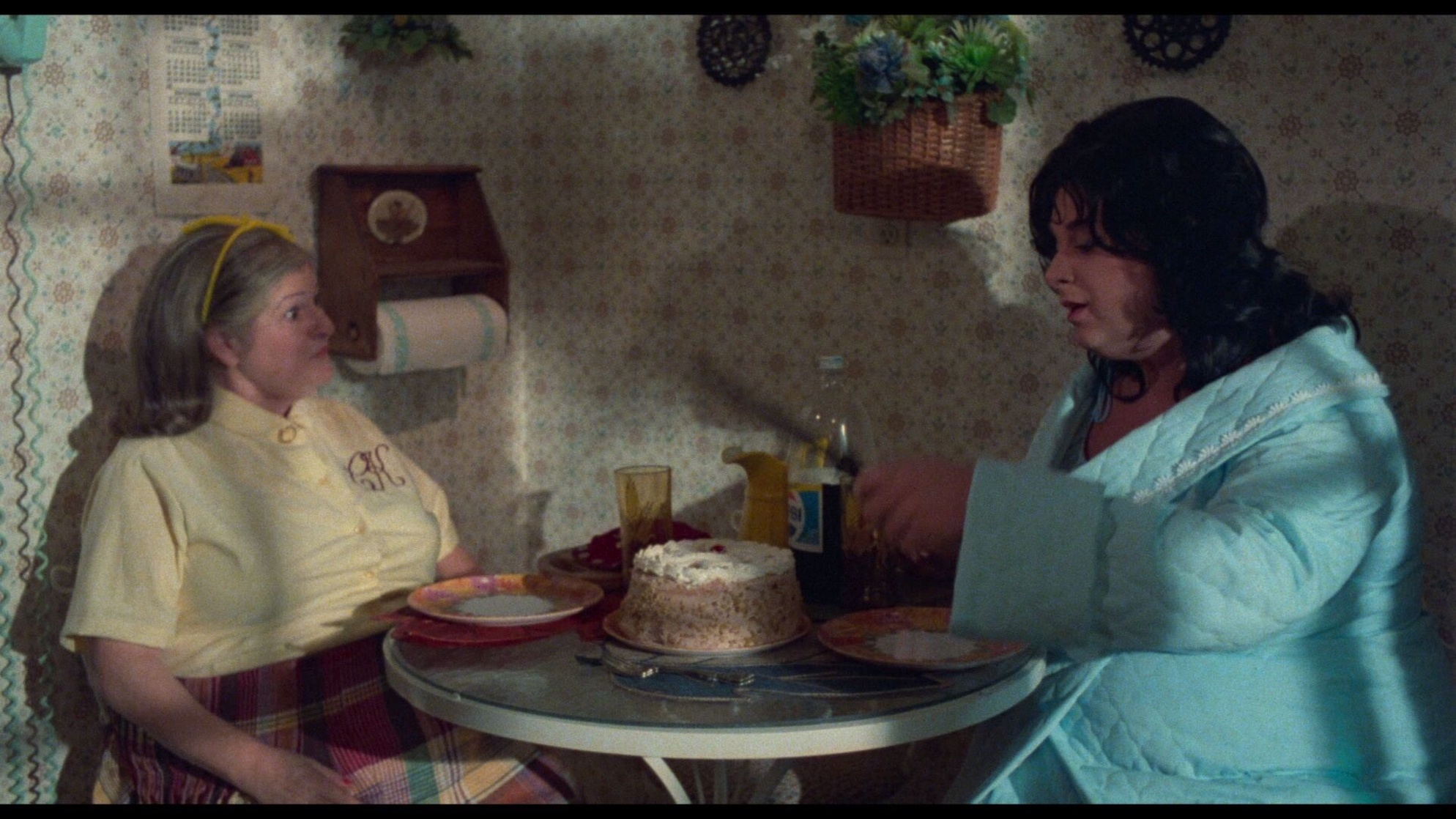 Polyester (1981)