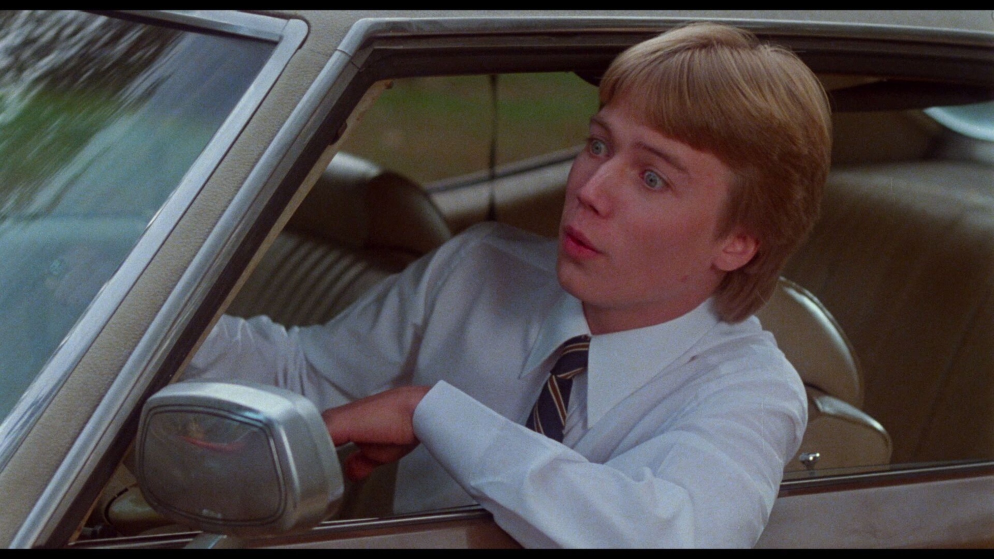 Polyester (1981)