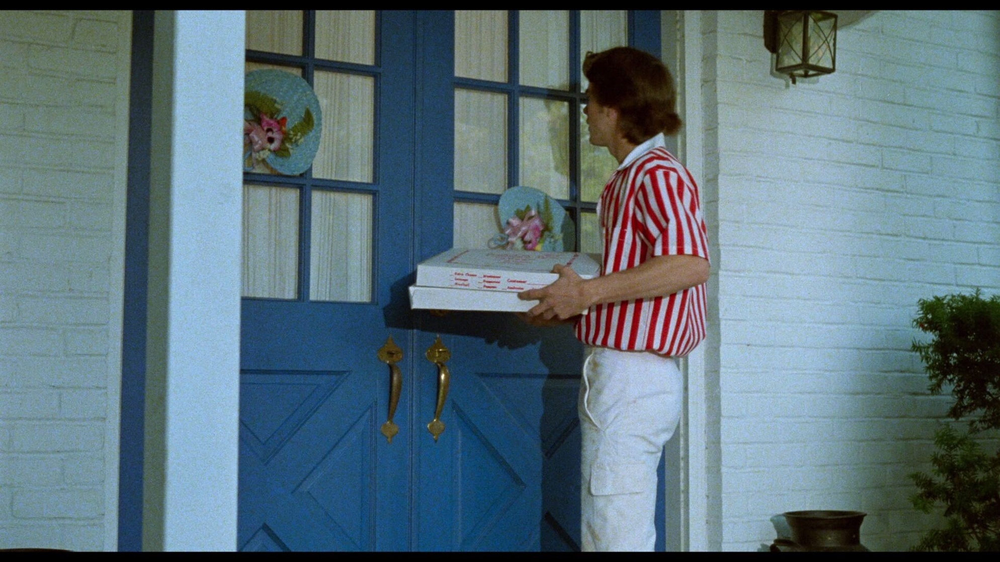 Polyester (1981)