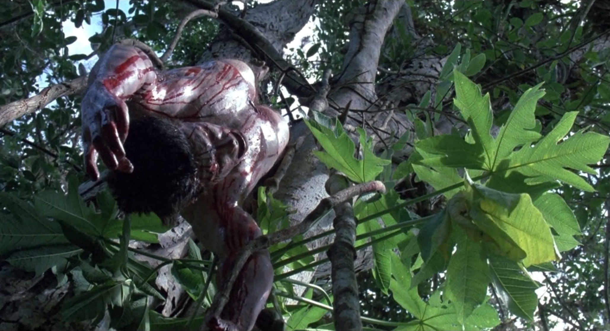 Predator Predator