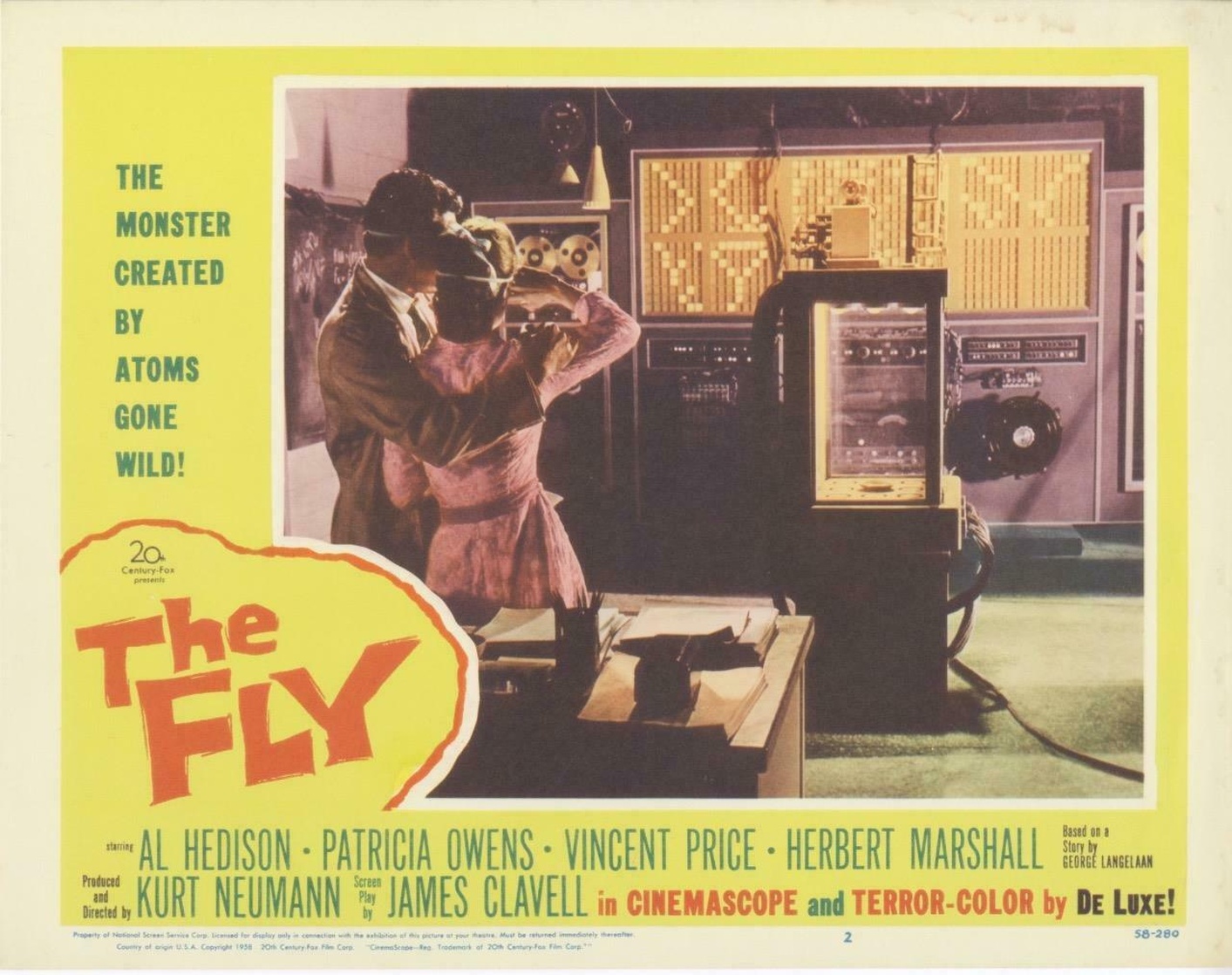 Picture of The Fly