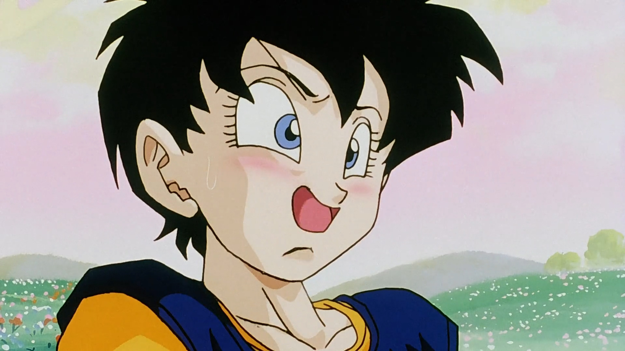 Videl
