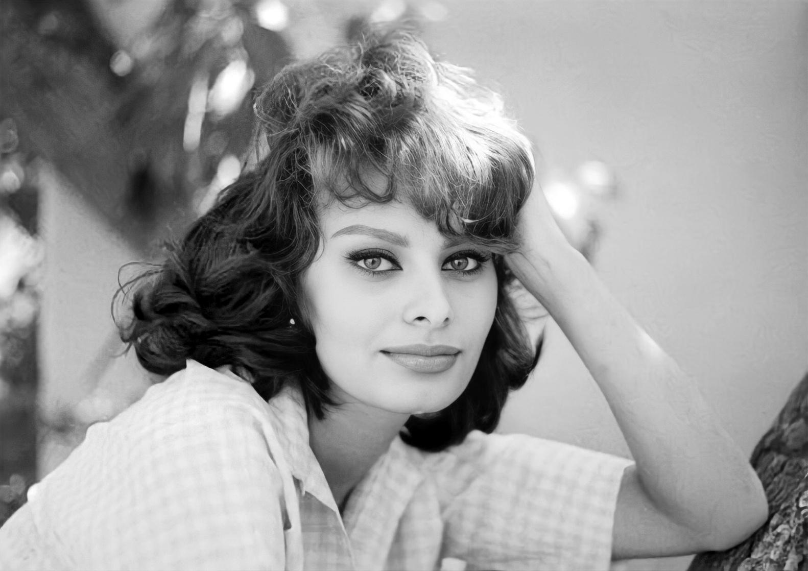 Sophia Loren Sophia Loren