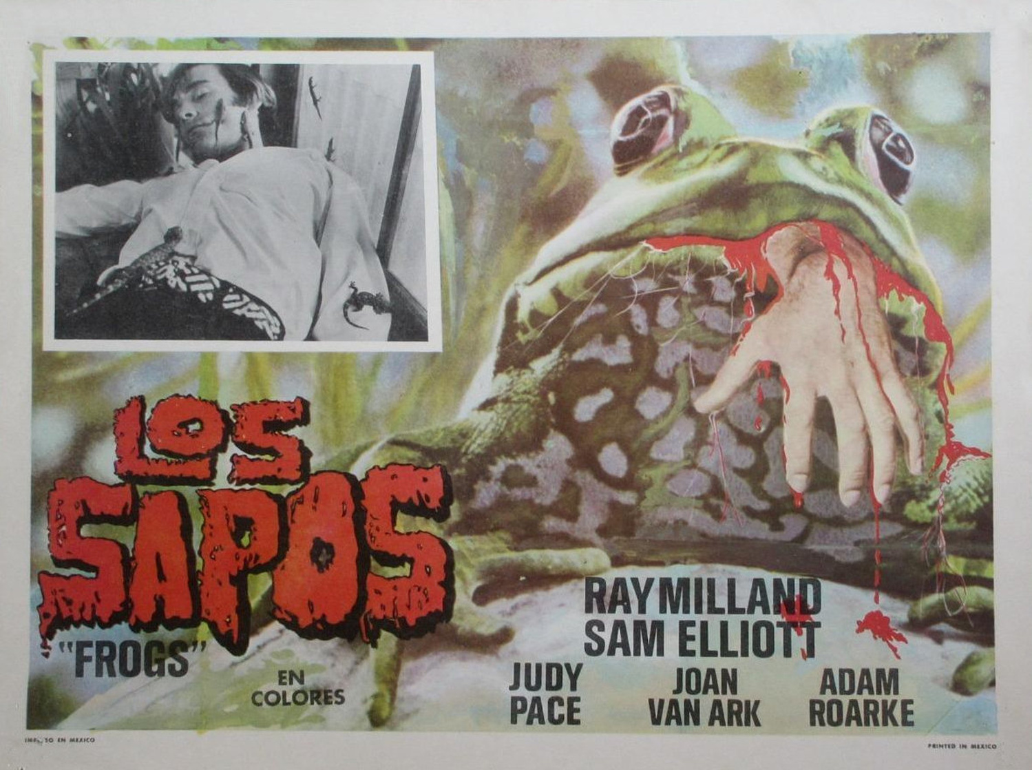 Frogs
