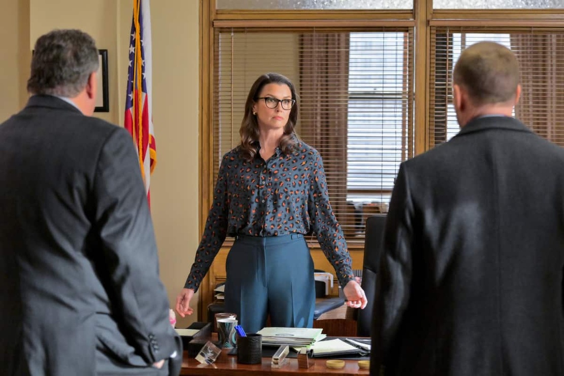 Picture of Blue Bloods