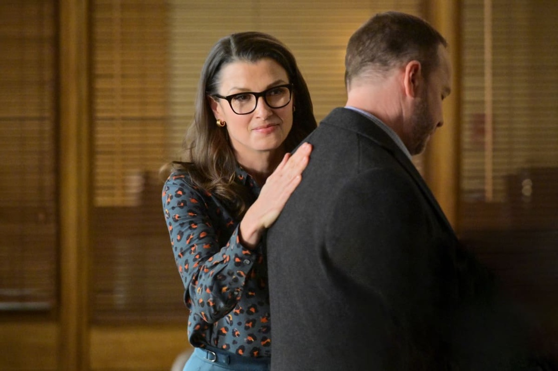 Picture of Blue Bloods