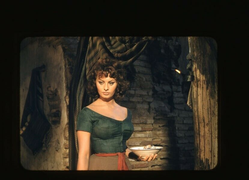 Sophia Loren Sophia Loren