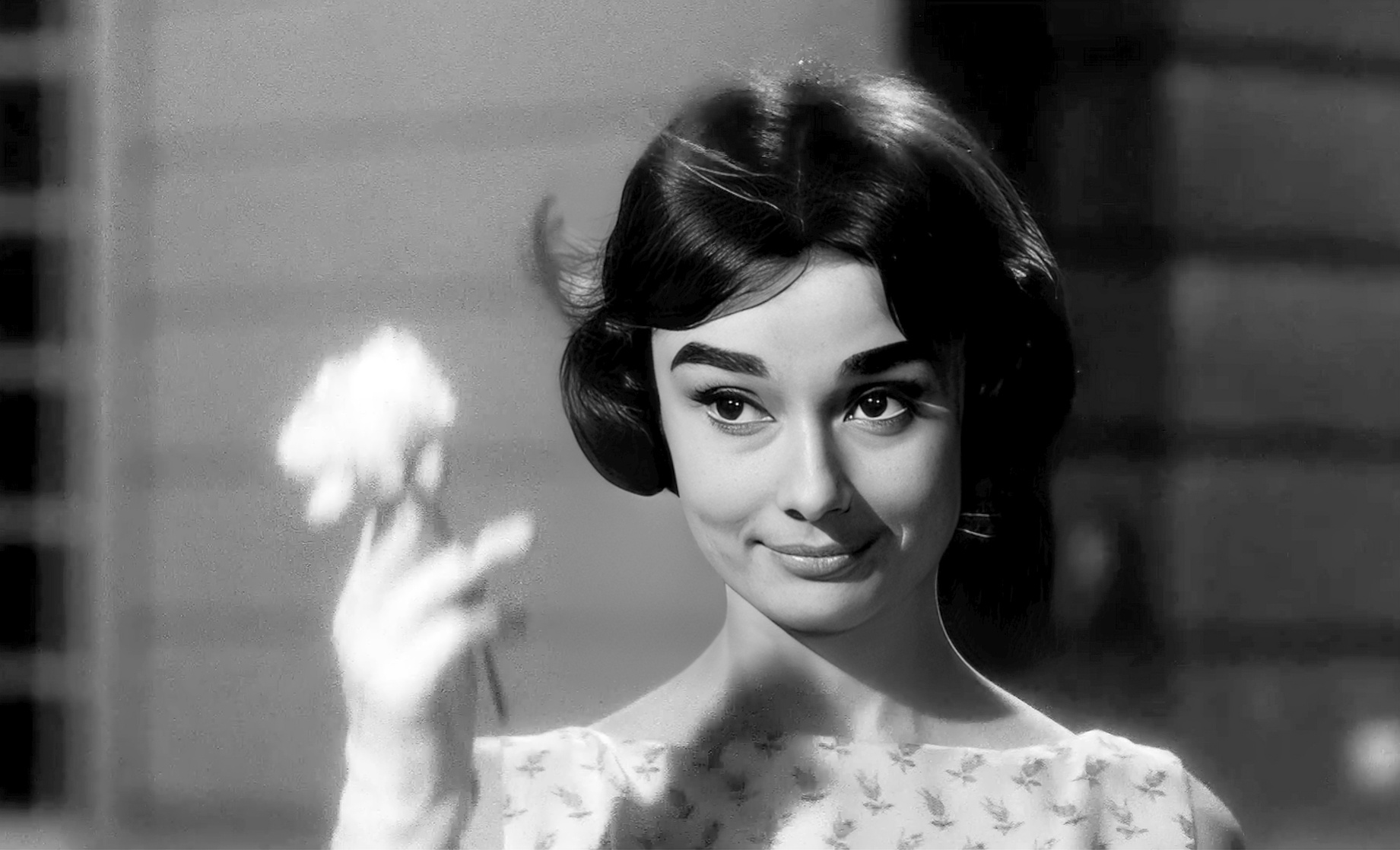 Audrey Hepburn Audrey Hepburn