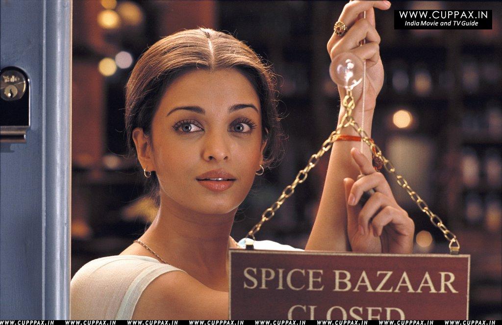 The Mistress of Spices The Mistress of Spices
