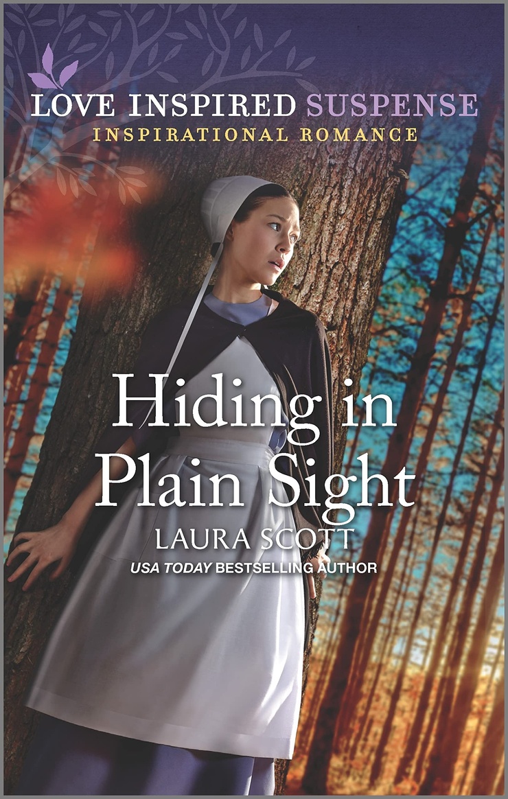 Hiding in Plain Sight (Love Inspired Suspense) image