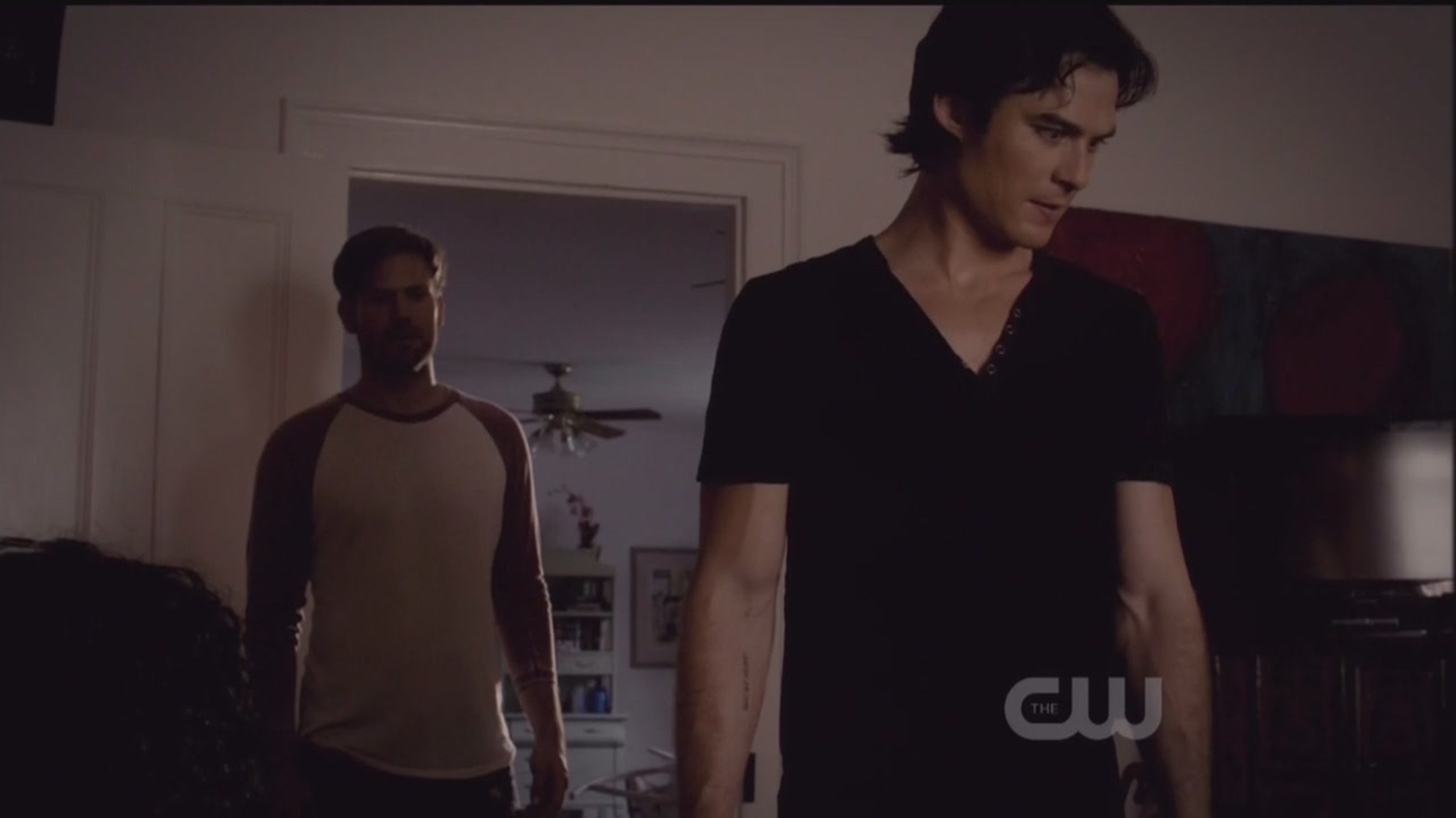 The Vampire Diaries