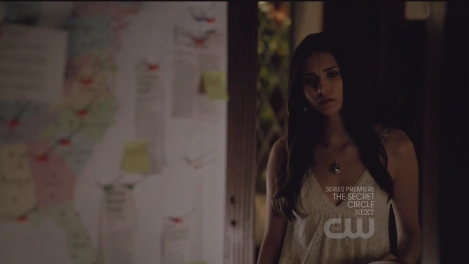 The Vampire Diaries