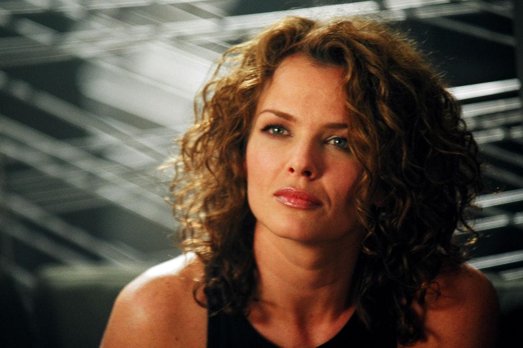 Picture of Dina Meyer