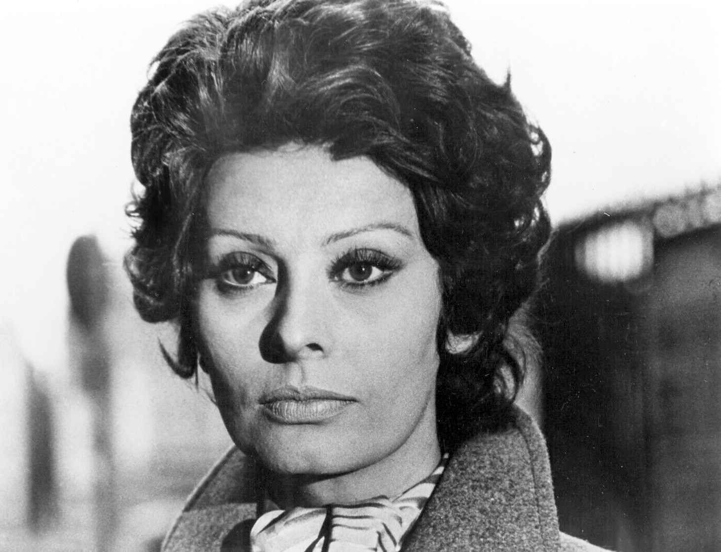 Sophia Loren