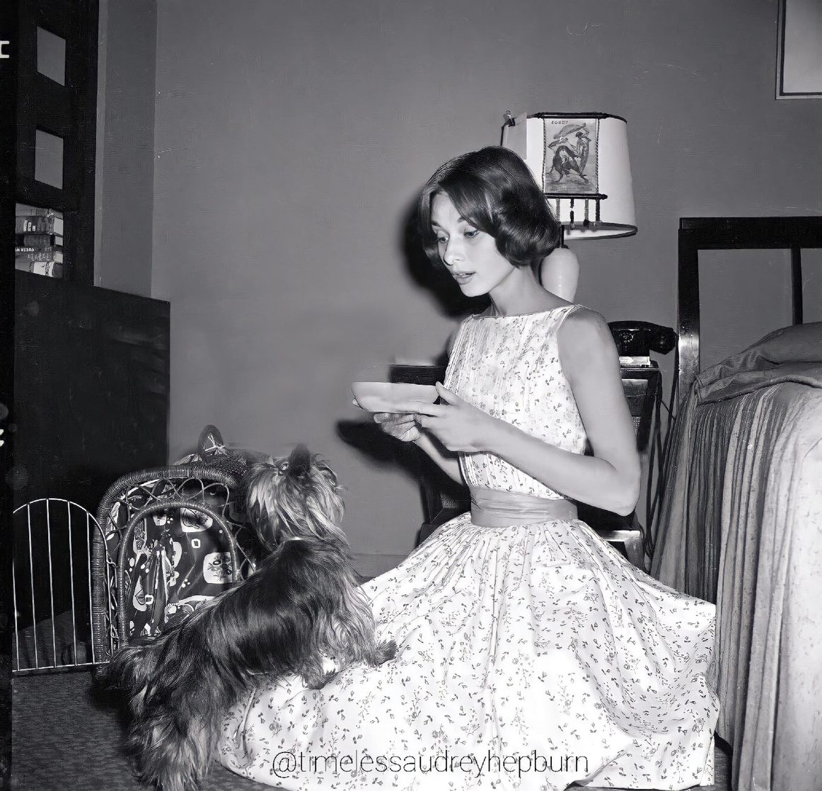 Audrey Hepburn
