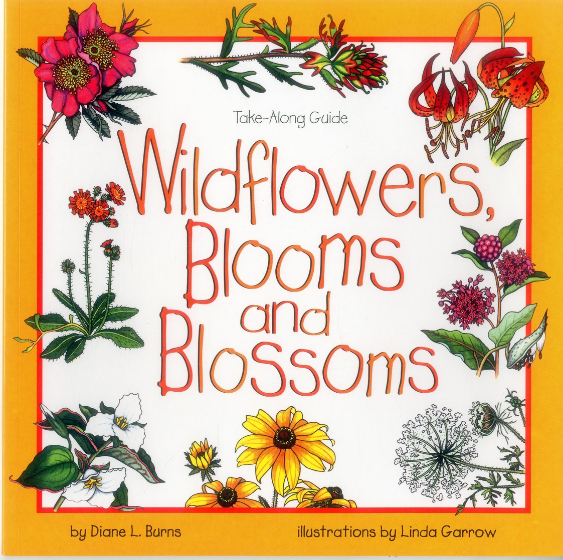 Wildflowers, Blooms and Blossoms (Take Along Guides)