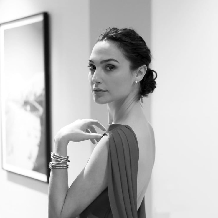 Picture Of Gal Gadot 0236