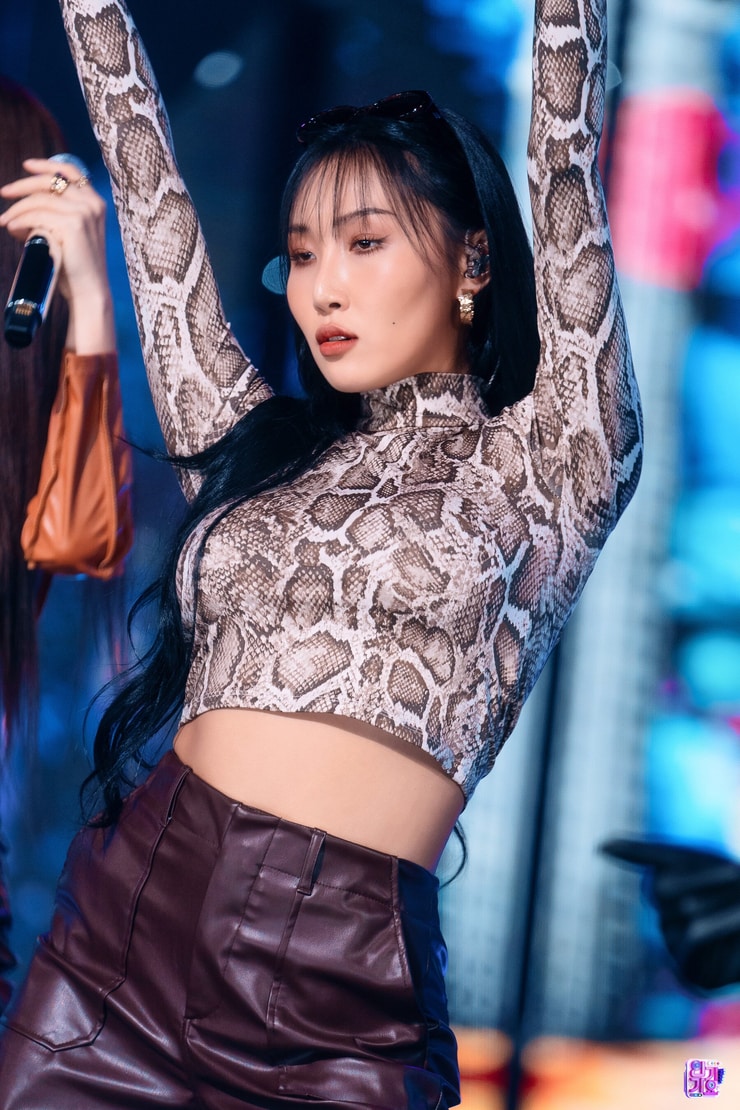 Picture of Hwasa