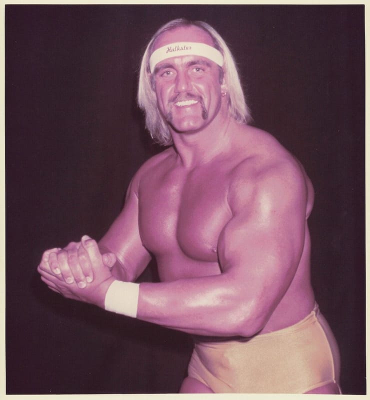 hulk-hogan