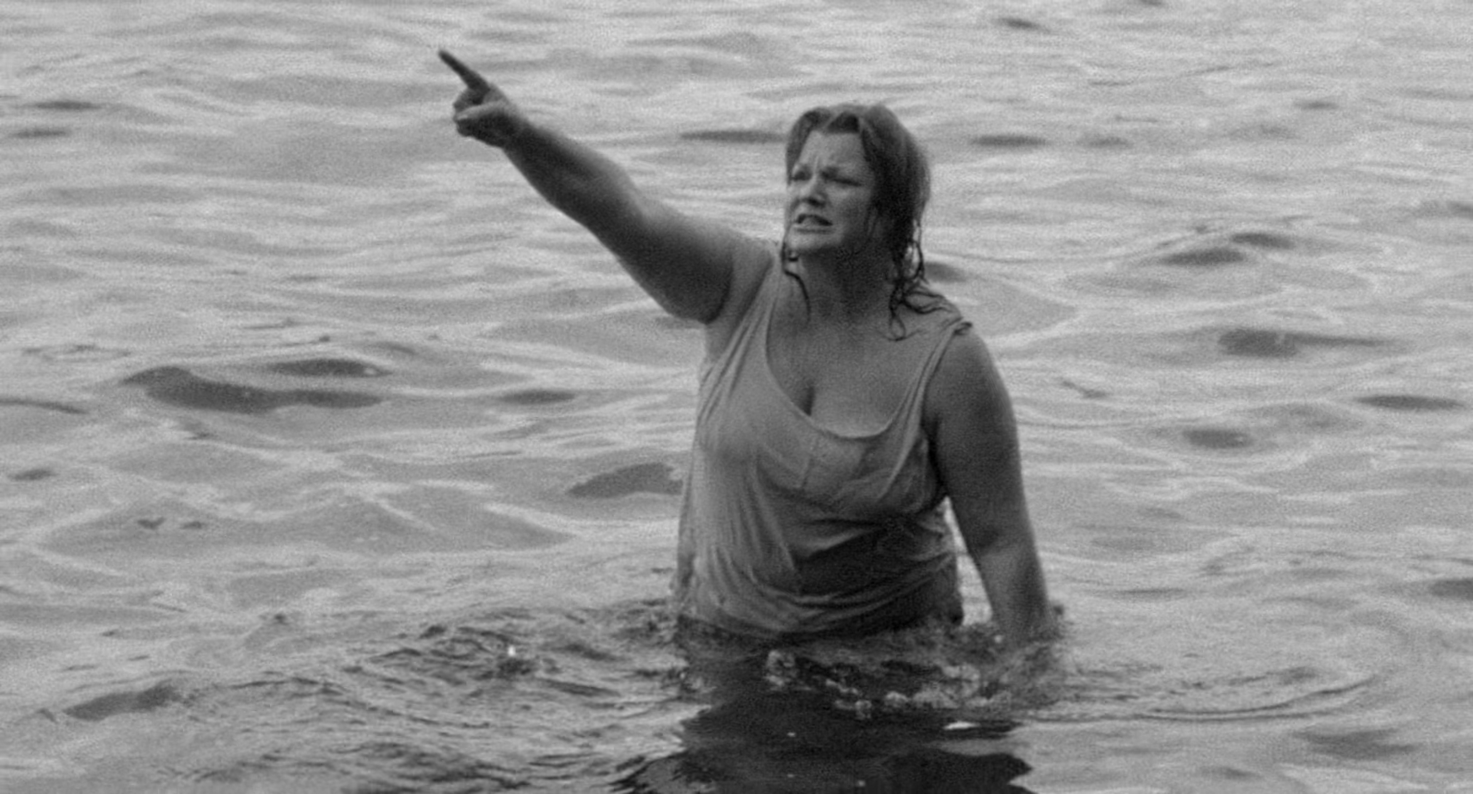 The Honeymoon Killers (1970) The Honeymoon Killers (1970)